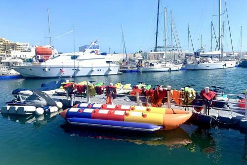 Apartamento Freedom Holiday - Albatros