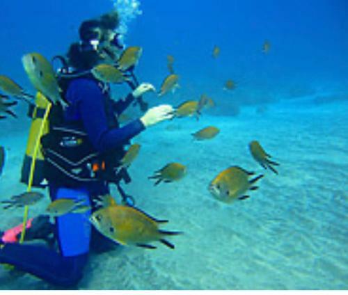 Apartamento Mona's Point Tenerife