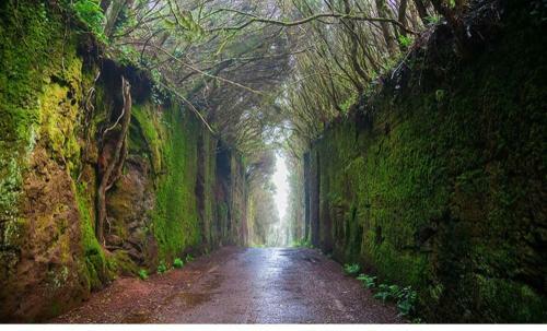 Apartamento Mona's Point Tenerife