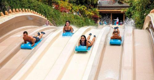 Apartamento Mona's Point Tenerife