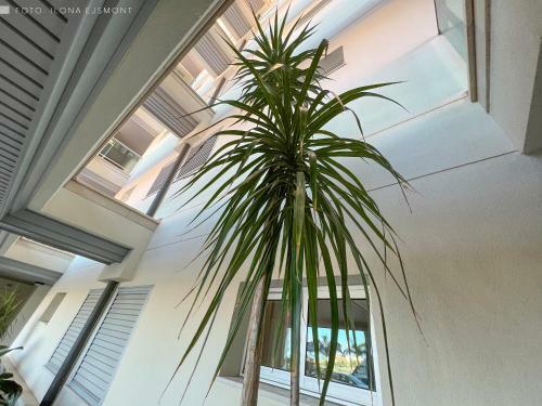 Apartamento Isla Feliz In Golf Del Sur