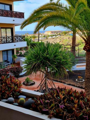 Apartamento Casa Diamarin 1