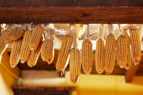 Galliner, El Reixac Casa Rural