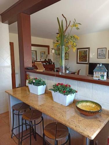 Splendid Mountain Apartment Near Port Del Comte