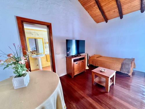 Guanche 'casa Rural Canaria'