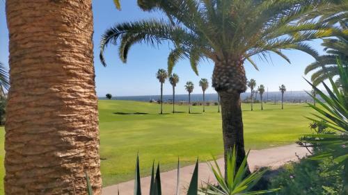 Apartamento Summer Dreams Tenerife