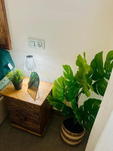 Apartamento Los Girasoles De Veneziola