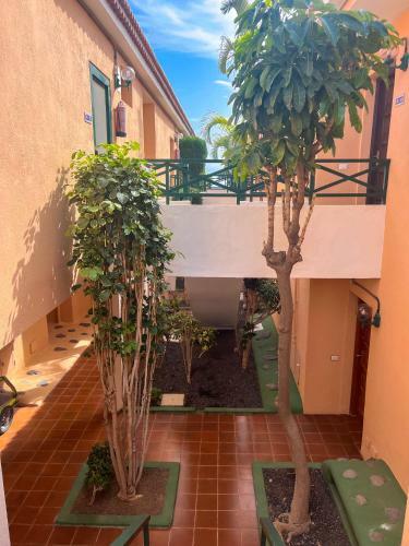 Apartamento Paz Ocean View, Air Condition, Wifi, Heated Pool