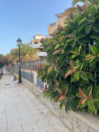 Apartamento Mery's Albatros Two Bedrooms