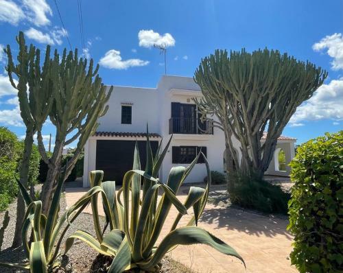 Casa Mamita Ibiza