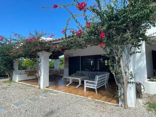 Casa Mamita Ibiza
