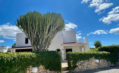 Casa Mamita Ibiza