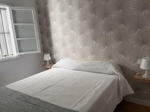 Apartamentos Larios Centro