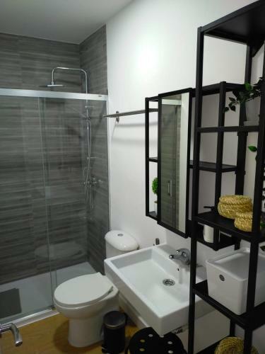 Apartamentos Larios Centro