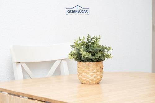 Apartamento Muro Alto