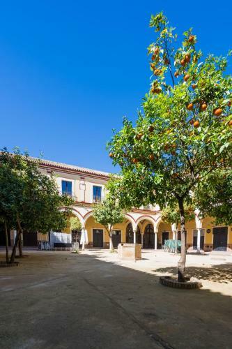 Apartamento Historico Garaje Y Wifi