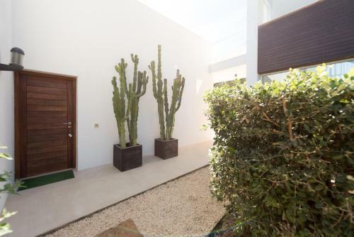Villa Casa Linnea - San Jose
