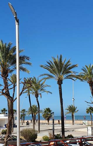 Apartamento Playa Do�ana 1