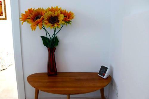 Apartamento Universo