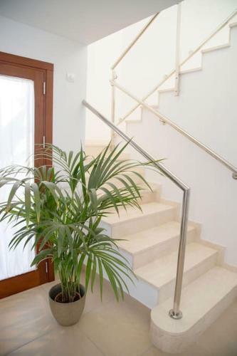 Modern Villa In Cala Jondal Porroig