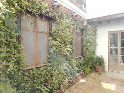 Apartamento La Gota De Leche 3