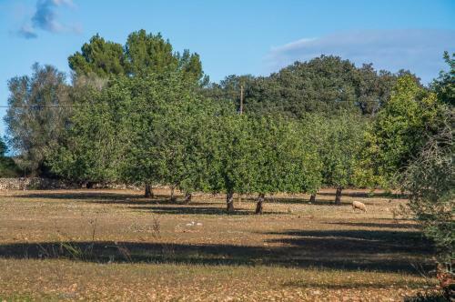 Agroturismo Villa Laiar