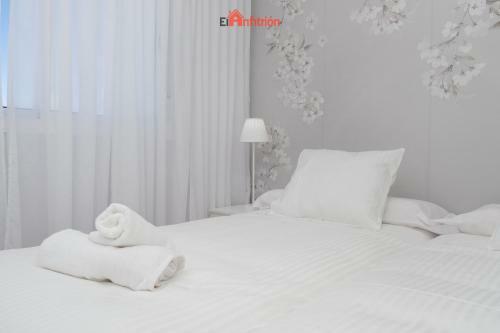 Apartamento El Anfitri�n - Carmen Viejo