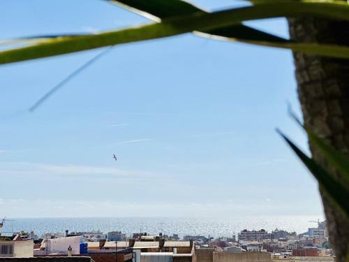 Apartamento Llevant Costabravasi