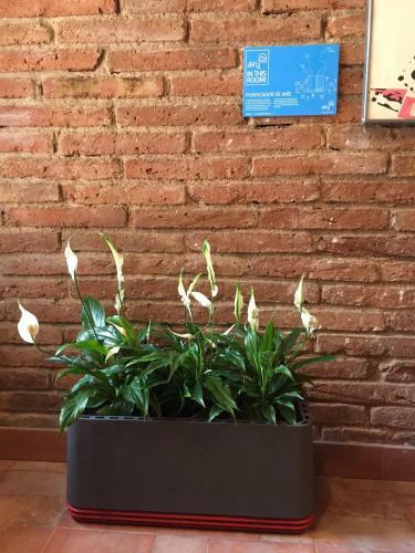 Apartamento Loft Art Studio Sant Cugat - Barcelona