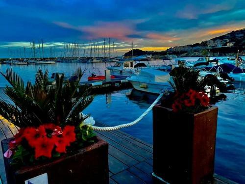 Apartamento 1ra Linea Platja De Sant Feliu