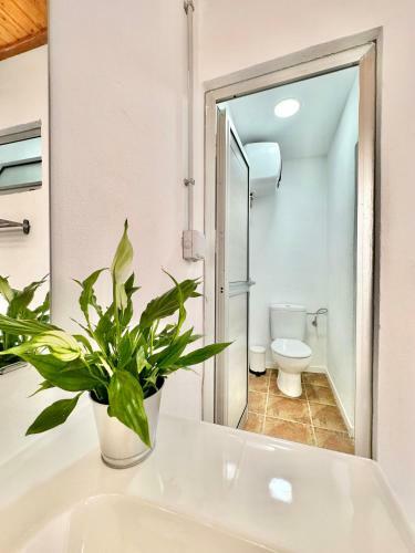 Teresitas Beach Escape Apartment