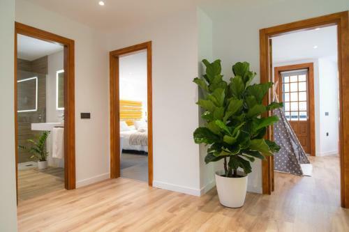 Apartamento Laguna Home & Suites