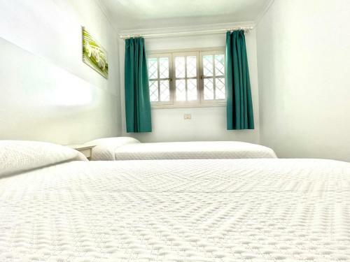 Apartment 3b, Freewifi, Right In Front Of Playa Las Burras