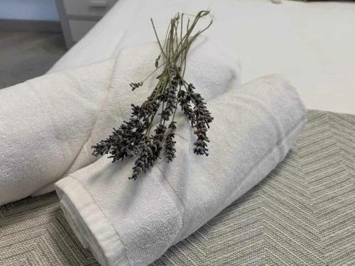 Apartamento El Rinconzuelo