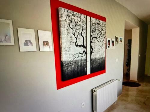 Casa Sanit�l 11-45