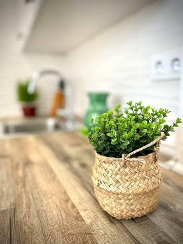 Mychoice Carmen By Bossh! Apartments