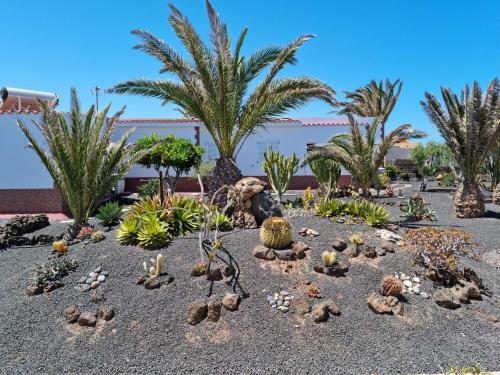 Apartamento Casa Ina In El Roque, El Cotillo