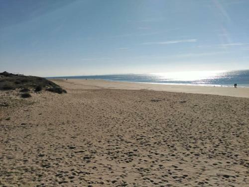 Apartamento Piscina Y Garaje A 300 M De Playa