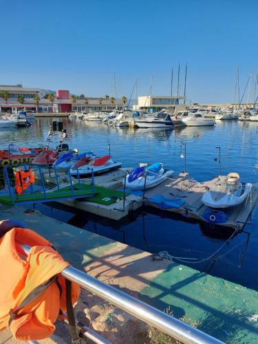 Apartamento Almeria Dreams