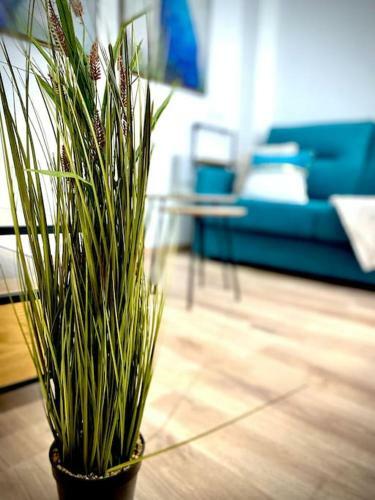 Mychoice Salmarina By Bossh! Apartments
