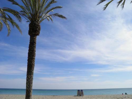 Suitur Apartamento Roc Sant Gaiet� II