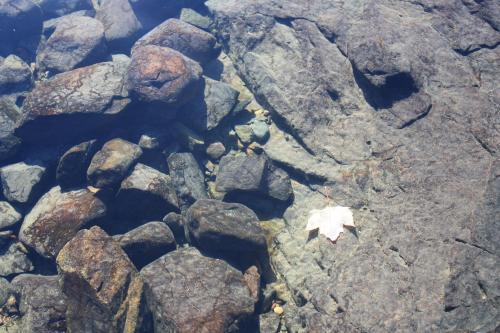 Carolyn Beach Motor Inn