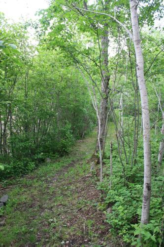 Carolyn Beach Motor Inn