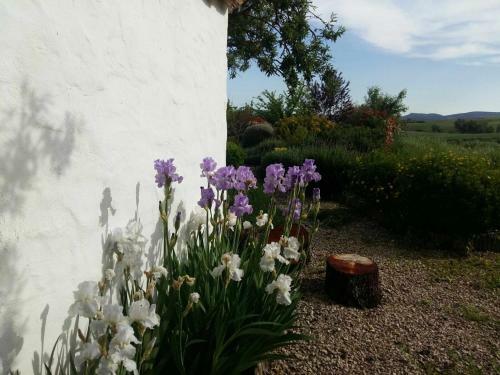 Villa Beautiful Cortijo With Pool Near Ronda