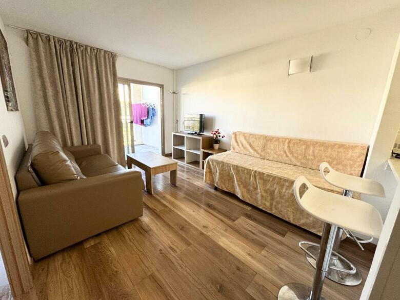 Apartsalou Michelangelo