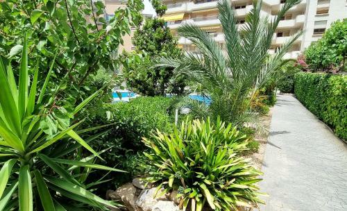 Apartamento Salou Arquus Center
