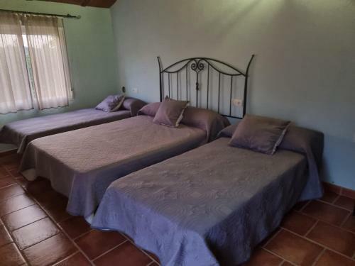 Casa Rural Roldan En Ronda