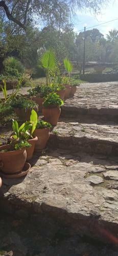 Casa Rural Roldan En Ronda