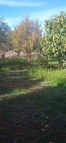 Casa Rural Roldan En Ronda
