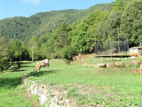 Llevant, El Mol� De La Plana
